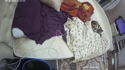 Bedroom camera at Jane Dora reallifecam apartment at Voyeur Hous-01 needitat