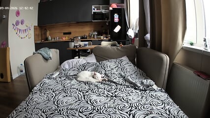 Living Room Camera At Swera & Jaxon Reallifecam Apartment At Voyeur House TV 04.09.2026 From 05 H 05 Min To 13 H 48 Min
