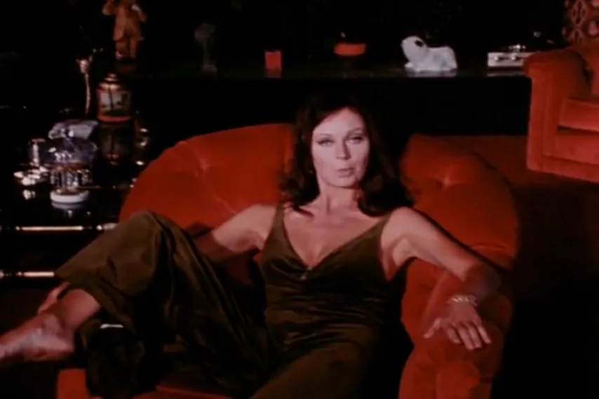 Rediscovering Vintage: An Unfiltered Guide to Women’s Pleasure and Hairy Delights