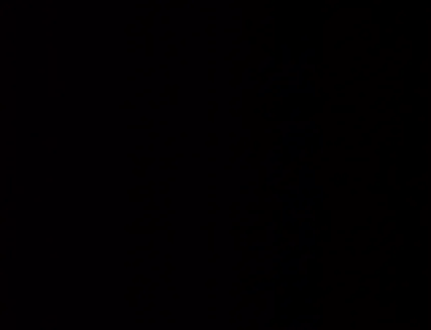 When Curves Meet Chaos: A 2002 Classic of Debauchery and Double Trouble
