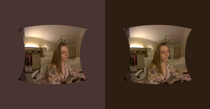 Virtual Vixen: A 180-Degree Peek Into Webcam Temptation