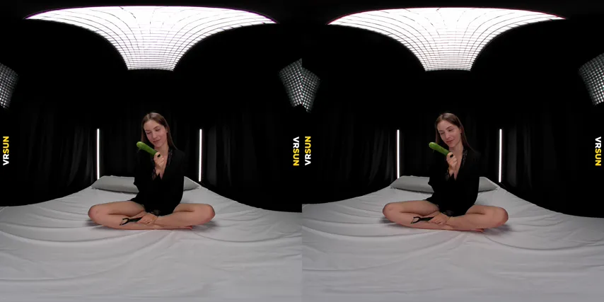 Intimate Exploration: Brushing Against Pleasure with Toys in Healthy Holio VR
