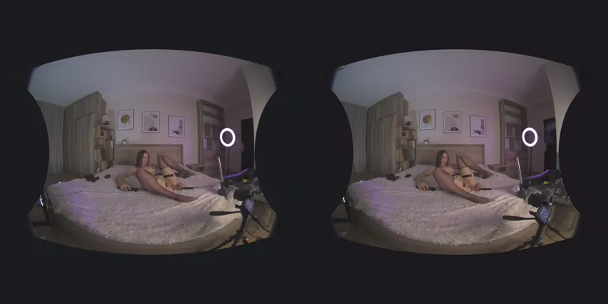 Brunette Temptress Takes Control: An Intimate VR Webcam Experience