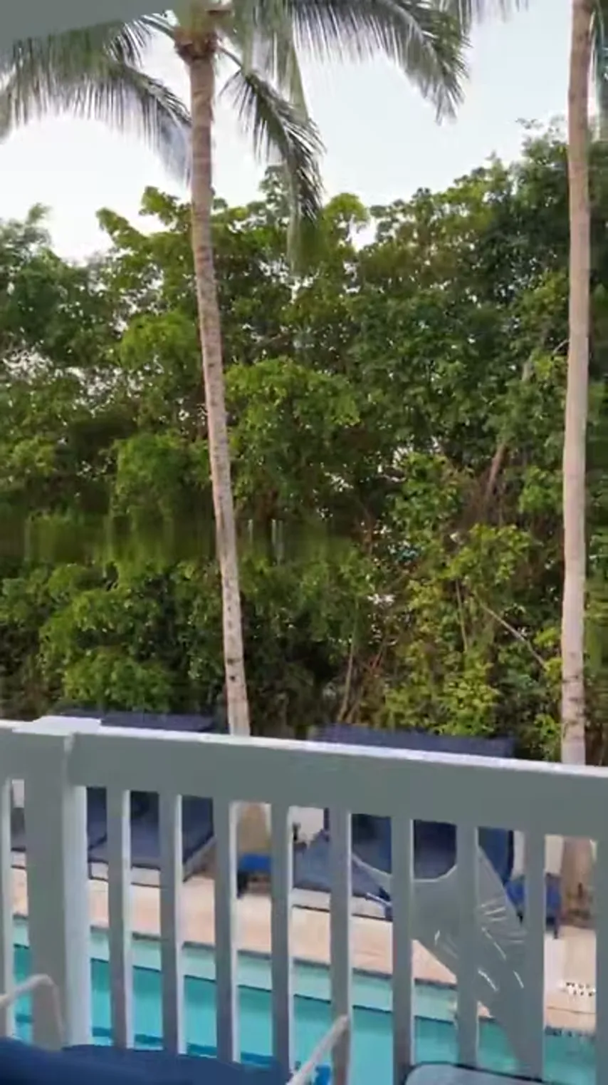 Sailing Into Desire: A Hotwife’s Jamaican Getaway Turns Wild