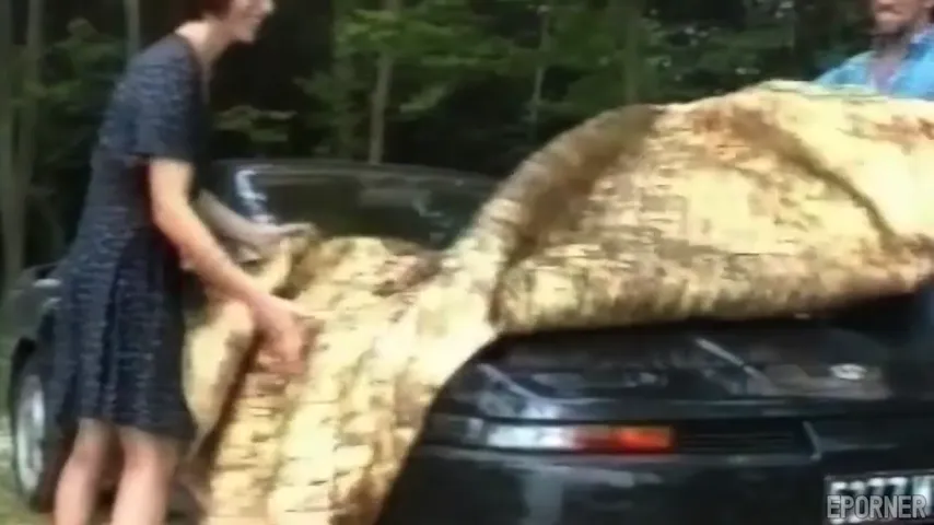 Woods, Hood, and Heat: Brunette’s Wild Encounter on the Car