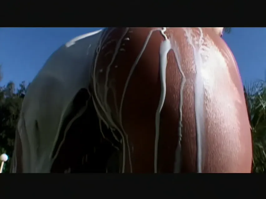 Sweet Cheeks, Rough Play: D@n13ll@ Ru5h’s Anal Adventure Unleashed