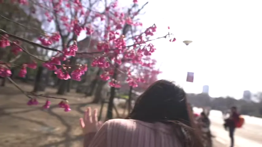 Curious Allure: An Office Lady’s Desires Unleashed in the Park