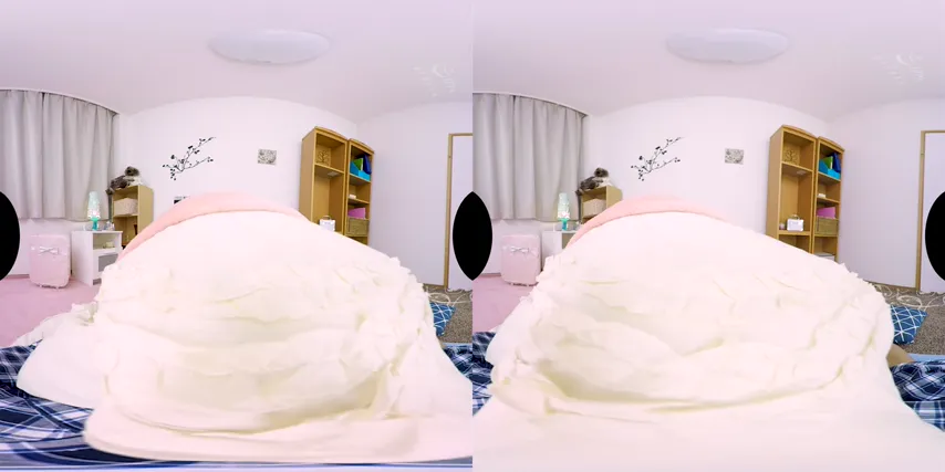 Step into the Scene: Experience Every Angle with Si.vr.023.2