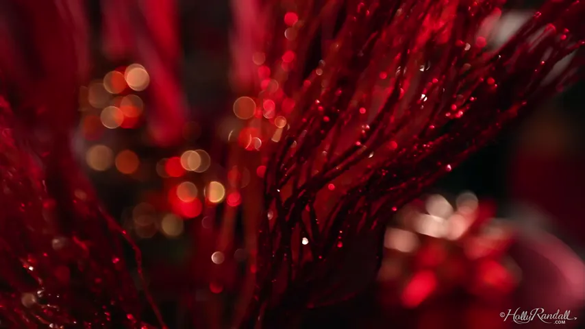 Naughty or Nice? A Titillating Holiday Rendezvous with a Sultry Brunette